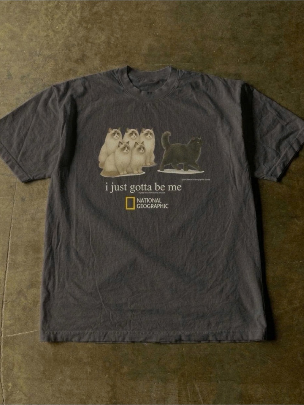 National Geographic Charcoal Cat Graphic Tee with Cream and Black Cats